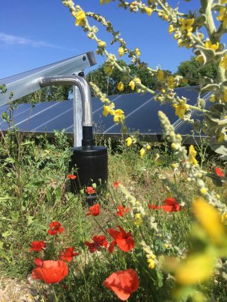 Issoudun_solar-and-biodiversity