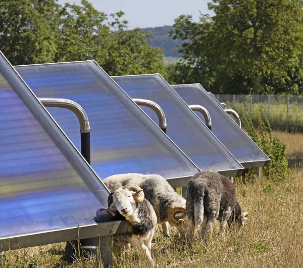 savosolar-cool-down-the-planet